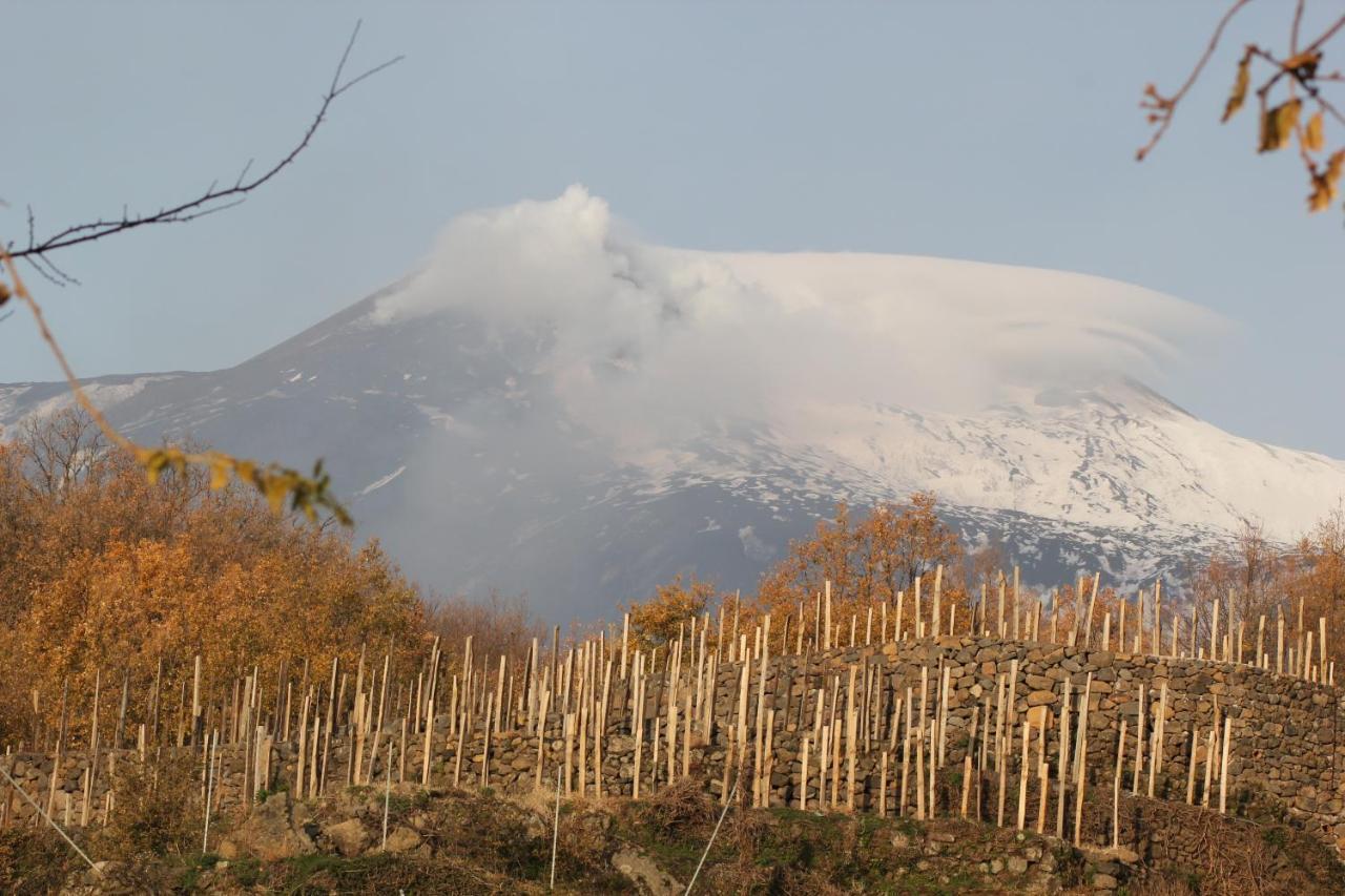 Agriturismo Le Case Del Merlo Milo Exterior foto